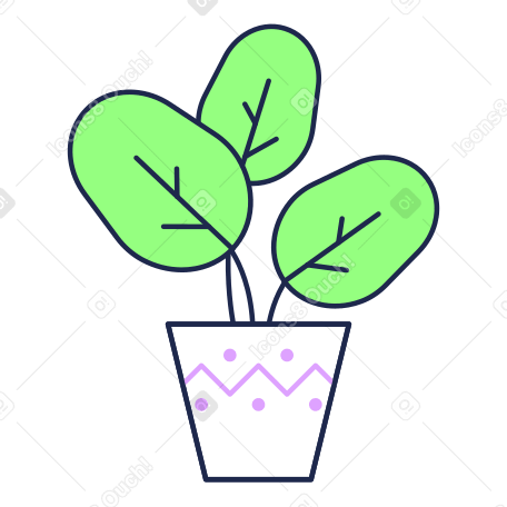 Комнатное растение в горшке для декора в PNG, SVG