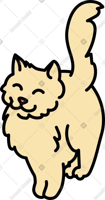 橙色猫 PNG, SVG