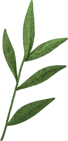 green twig PNG, SVG