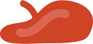 Baskenmütze PNG, SVG