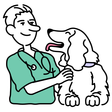 Un veterinario examinando al perro. PNG, SVG