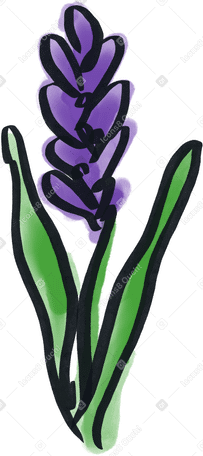 Фиолетовый акварельный цветок лаванды в PNG, SVG