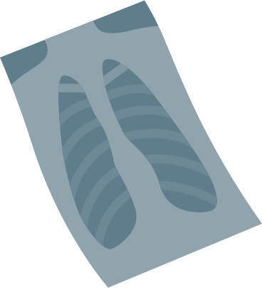 x-ray image PNG, SVG