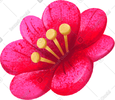 红色盛开的花 PNG, SVG