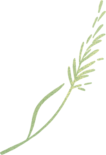one small blade of grass PNG, SVG