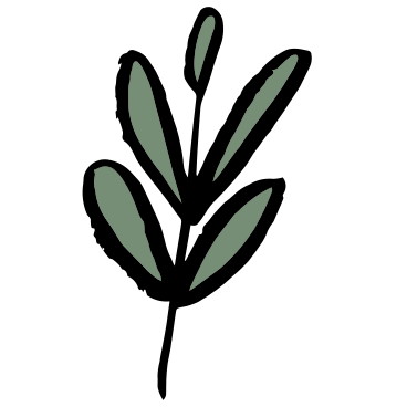 Plant PNG, SVG