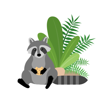 Raccoon with a cookie  PNG, SVG