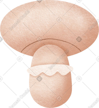 mushroom PNG, SVG