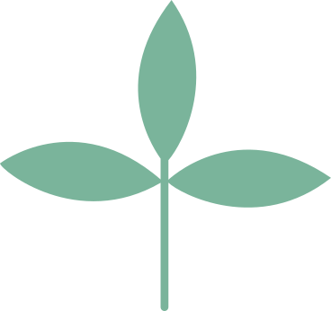 Piccola pianta verde PNG, SVG