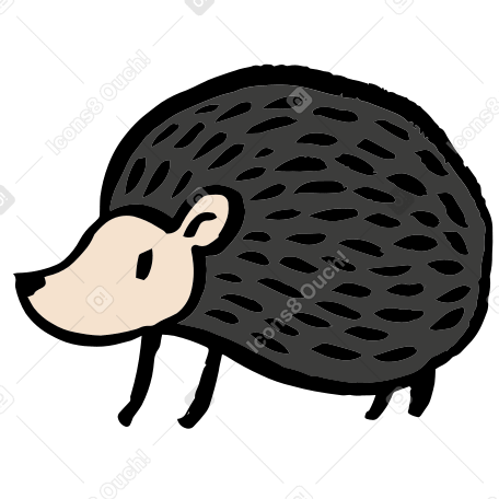 hedgehog Illustration in PNG, SVG
