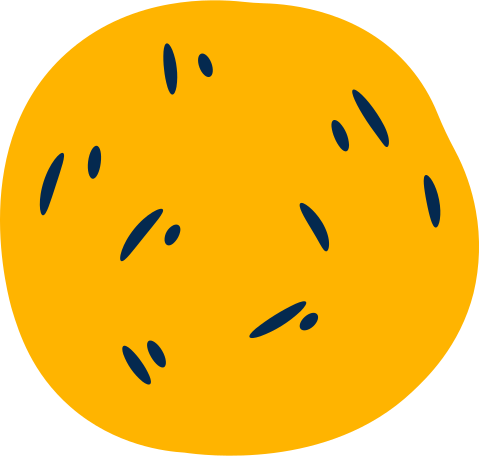 biscuit Illustration in PNG, SVG
