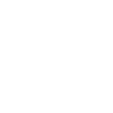 Octagon white PNG, SVG