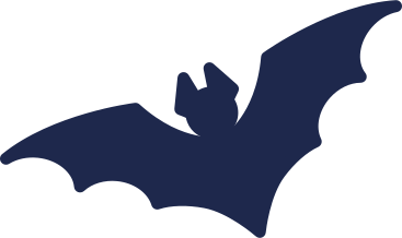 fledermaus-silhouette PNG, SVG