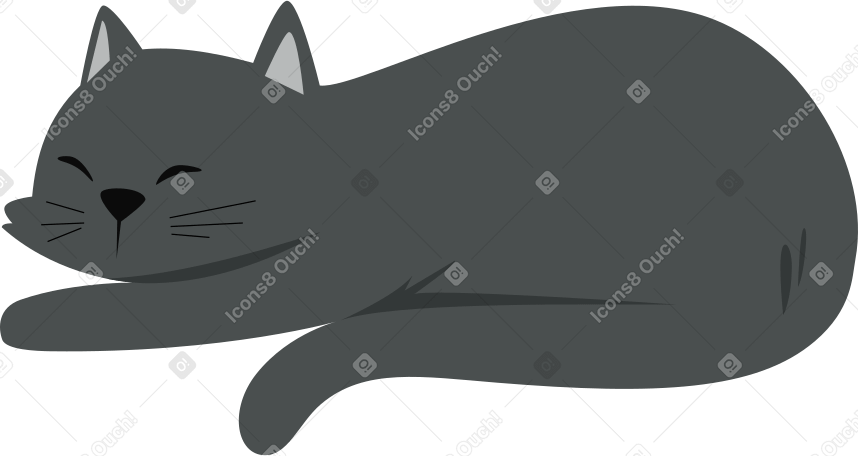 sleeping gray cat PNG, SVG