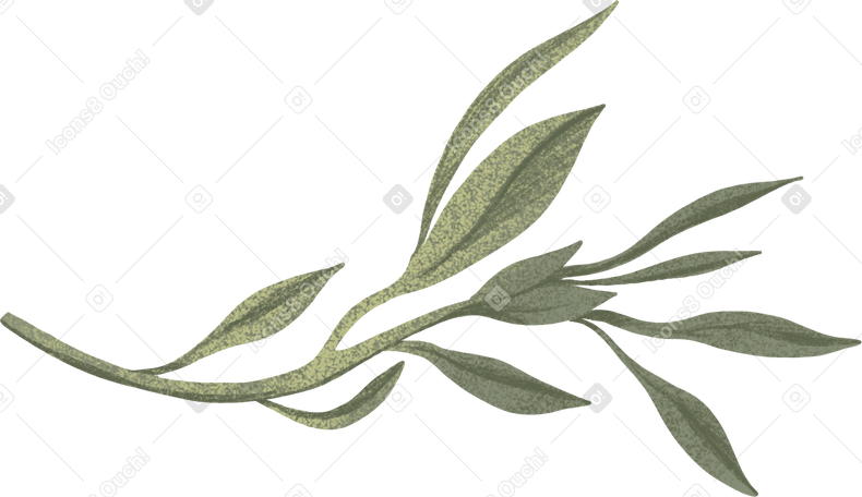 Branche verte avec des feuilles PNG, SVG