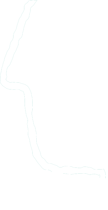 shape man white PNG, SVG