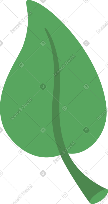 叶子 PNG, SVG