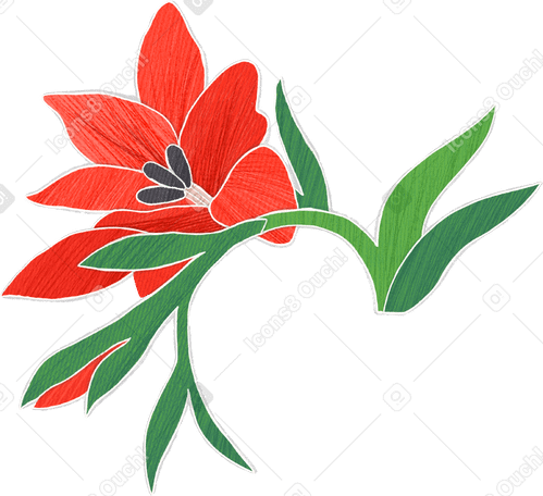 large branch of red gladiolus в PNG, SVG