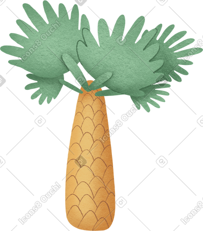 palm PNG, SVG