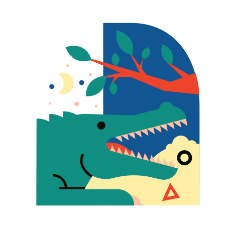 Crocodile Illustration in PNG, SVG