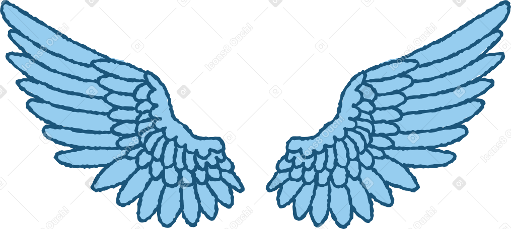 wings Illustration in PNG, SVG