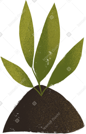 sprout Illustration in PNG, SVG