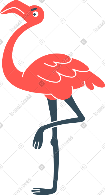 Flamingo PNG, SVG