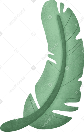 palm leaf Illustration in PNG, SVG