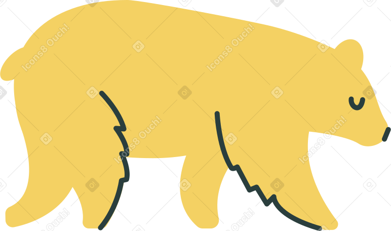 bear Illustration in PNG, SVG