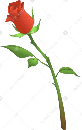 Einzelne rose PNG, SVG