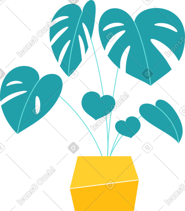 罐中的龟背竹花 PNG, SVG