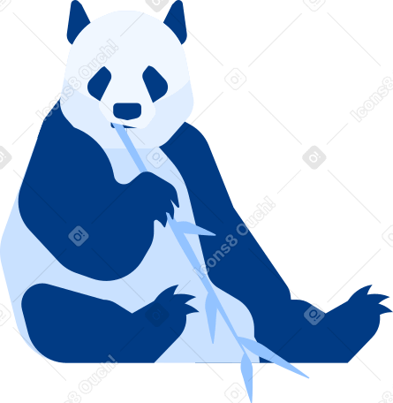панда в PNG, SVG