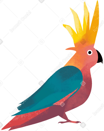 pappagallo PNG, SVG