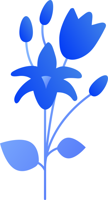 Цветы в PNG, SVG