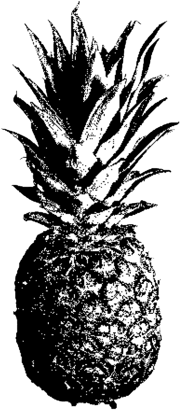 Pineapple PNG, SVG