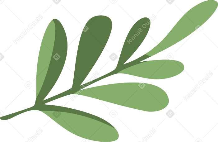 twig with leaves Illustration in PNG, SVG