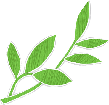 two branches with green leaves PNG, SVG