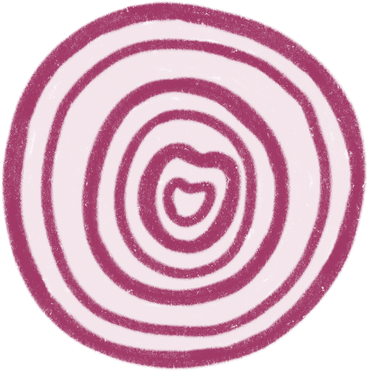 Onion slice PNG, SVG