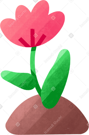 pink flower grows in the soil в PNG, SVG