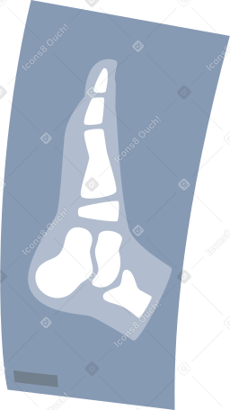 x-ray leg Illustration in PNG, SVG