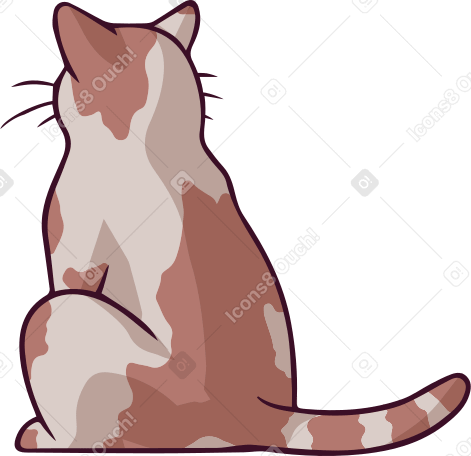 cat Illustration in PNG, SVG