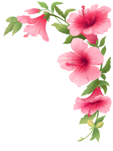 Corner arrangement with pink hibiscus flowers PNG, SVG