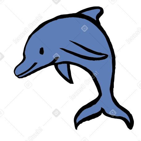 dolphin Illustration in PNG, SVG