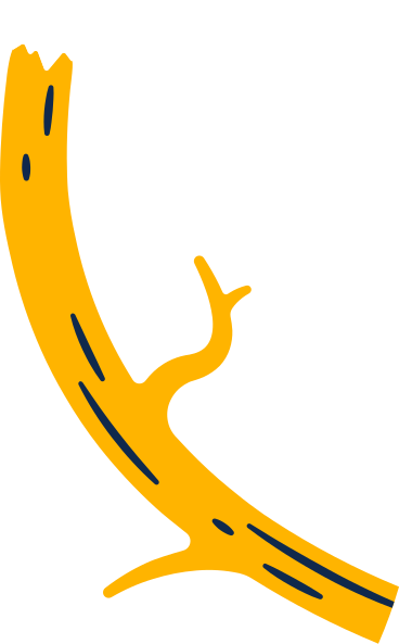 tree branch PNG, SVG