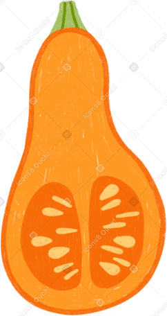 pumpkin half PNG, SVG