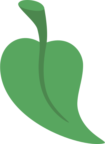 leaves one PNG, SVG