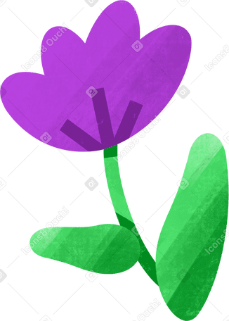 purple flower PNG, SVG