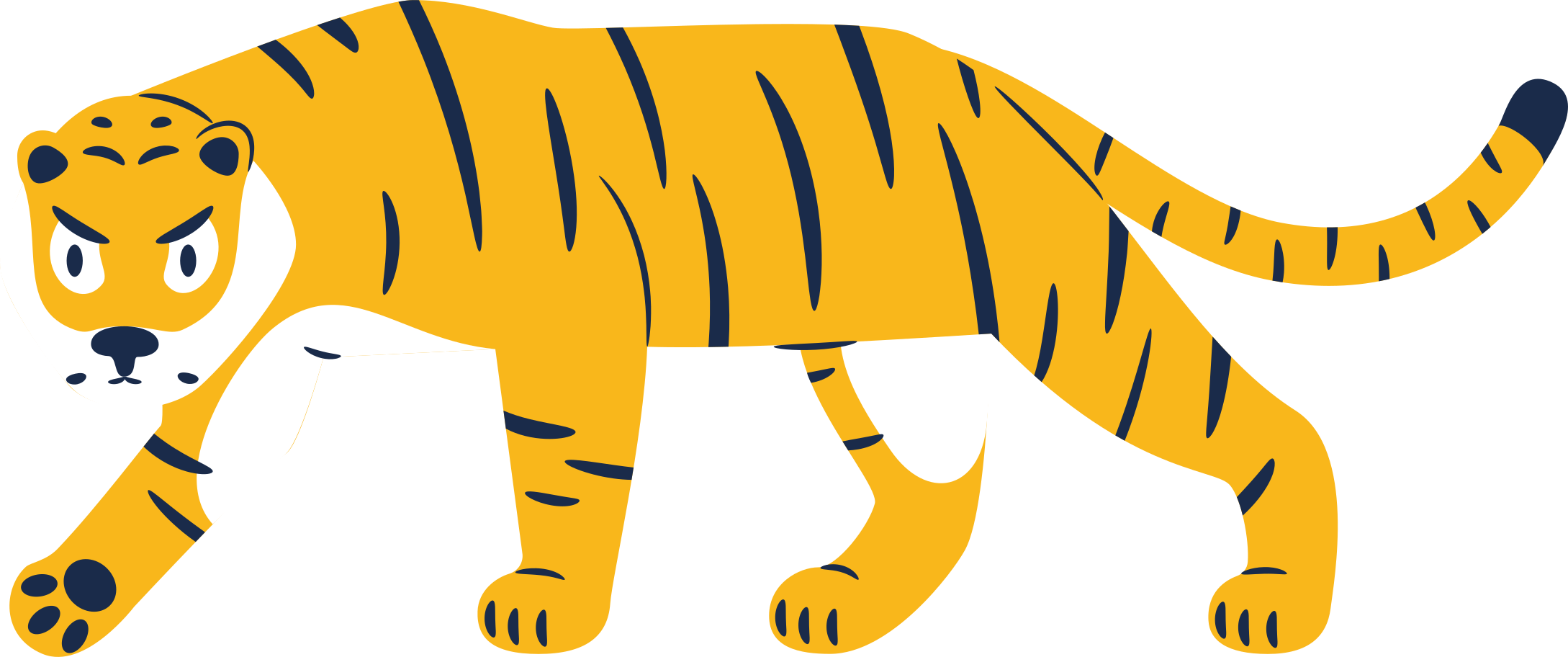 tiger walking Illustration in PNG, SVG