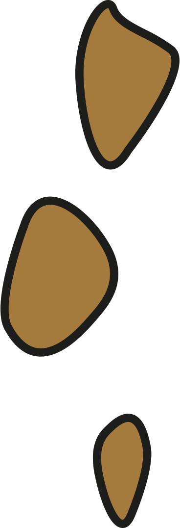 cookie crumbs PNG, SVG