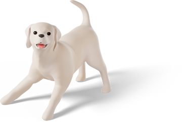 Белая собака играет в PNG, SVG